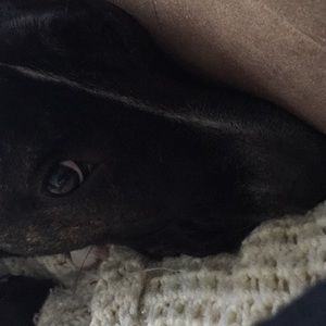 Meet your Posher, Kim